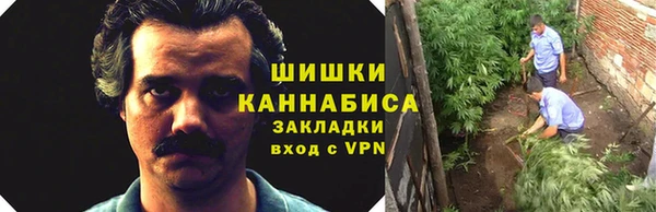 хмурый Арсеньев