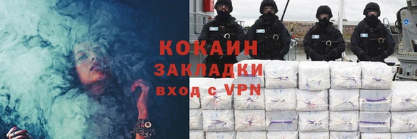 хмурый Арсеньев