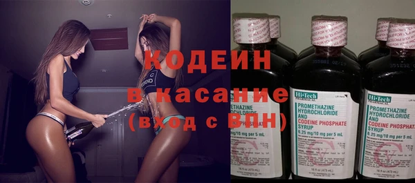 хмурый Арсеньев