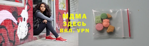 хмурый Арсеньев