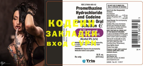 хмурый Арсеньев