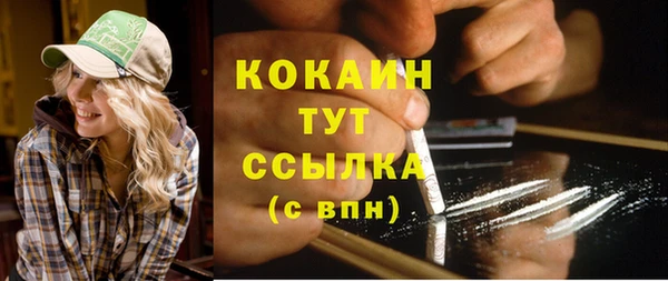 хмурый Арсеньев
