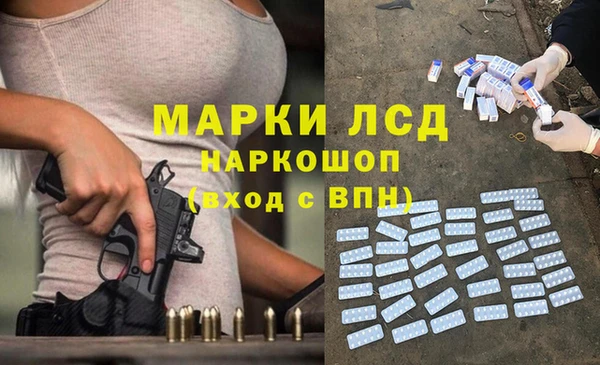 хмурый Арсеньев