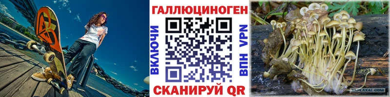 как найти закладки  Кировск  Галлюциногенные грибы MAGIC MUSHROOMS 