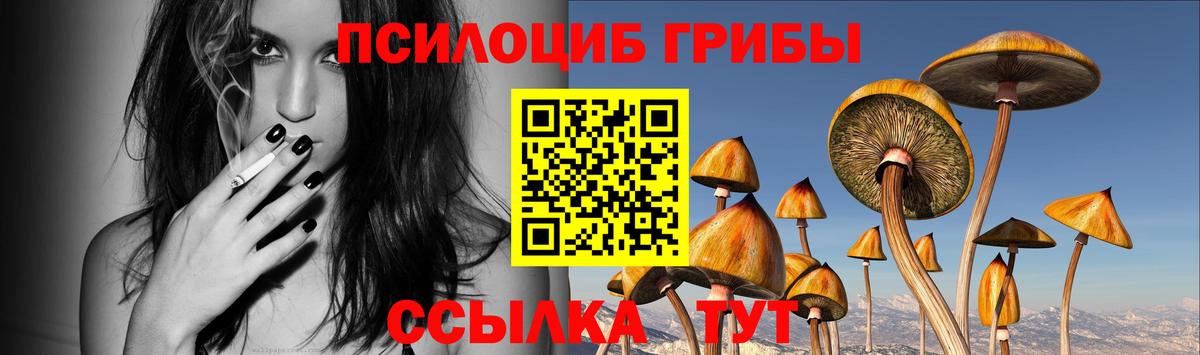 Галлюциногенные грибы ЛСД  купить наркотик  Кировск  Вход с VPN 