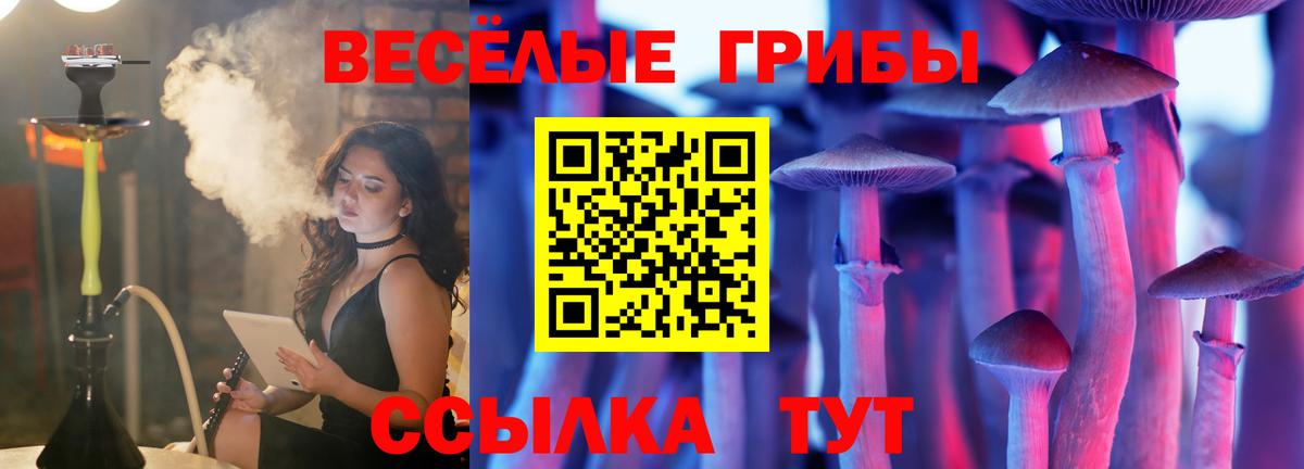 Галлюциногенные грибы ЛСД Кировск